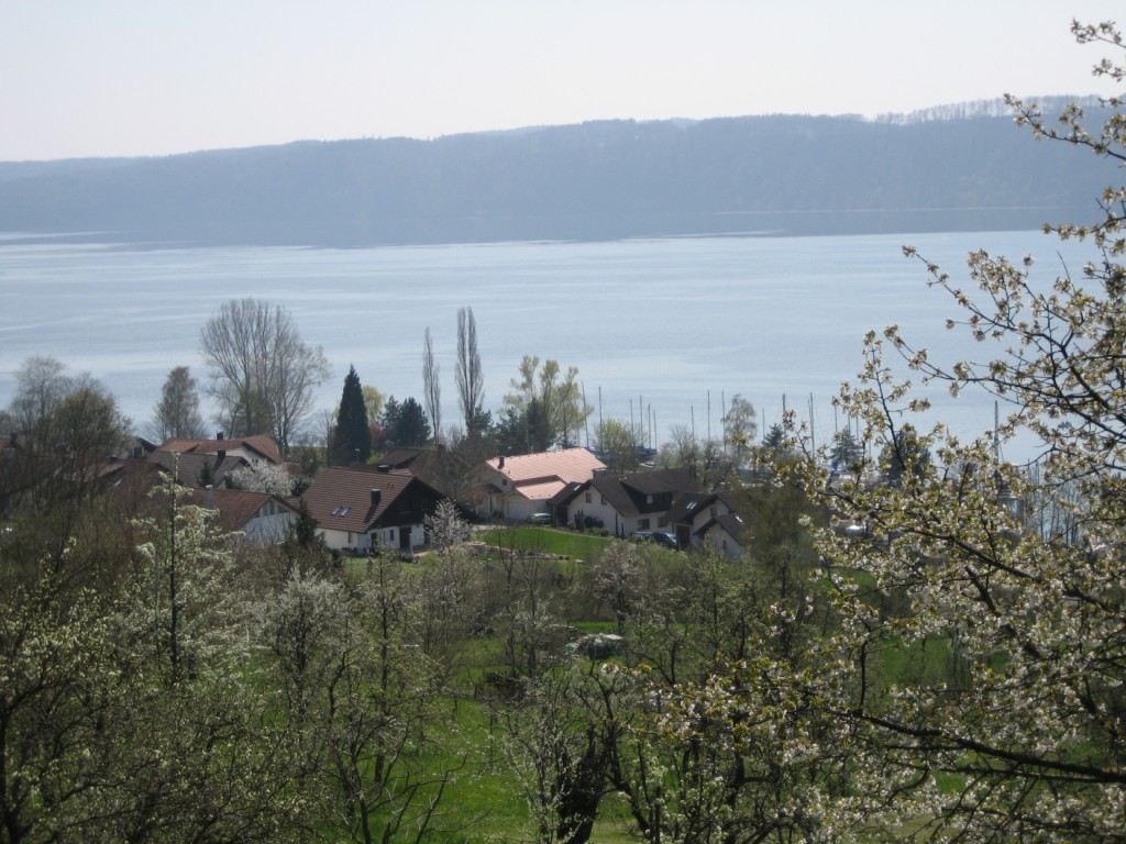 Bodensee5